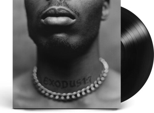 DMX- Exodus (LP)