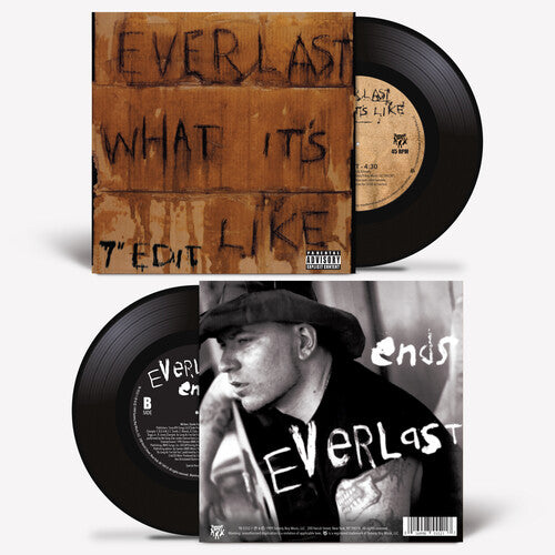 EVERLAST - WHAT IT'S LIKE / ENDS (7" VINYL)