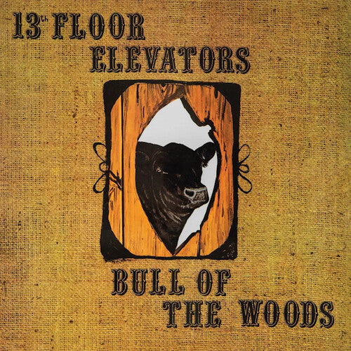 THE 13TH FLOOR ELEVATORS - BULL OF THE WOODS (LP)