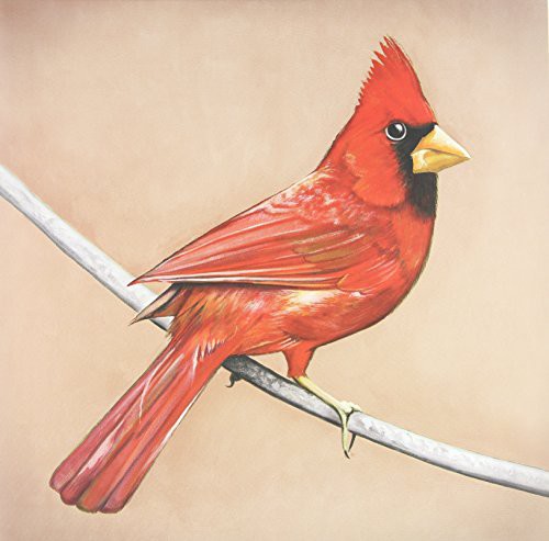 Alexisonfire - Old Crows/Young Cardinals (LP)