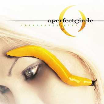 A Perfect Circle - Thirteenth Step